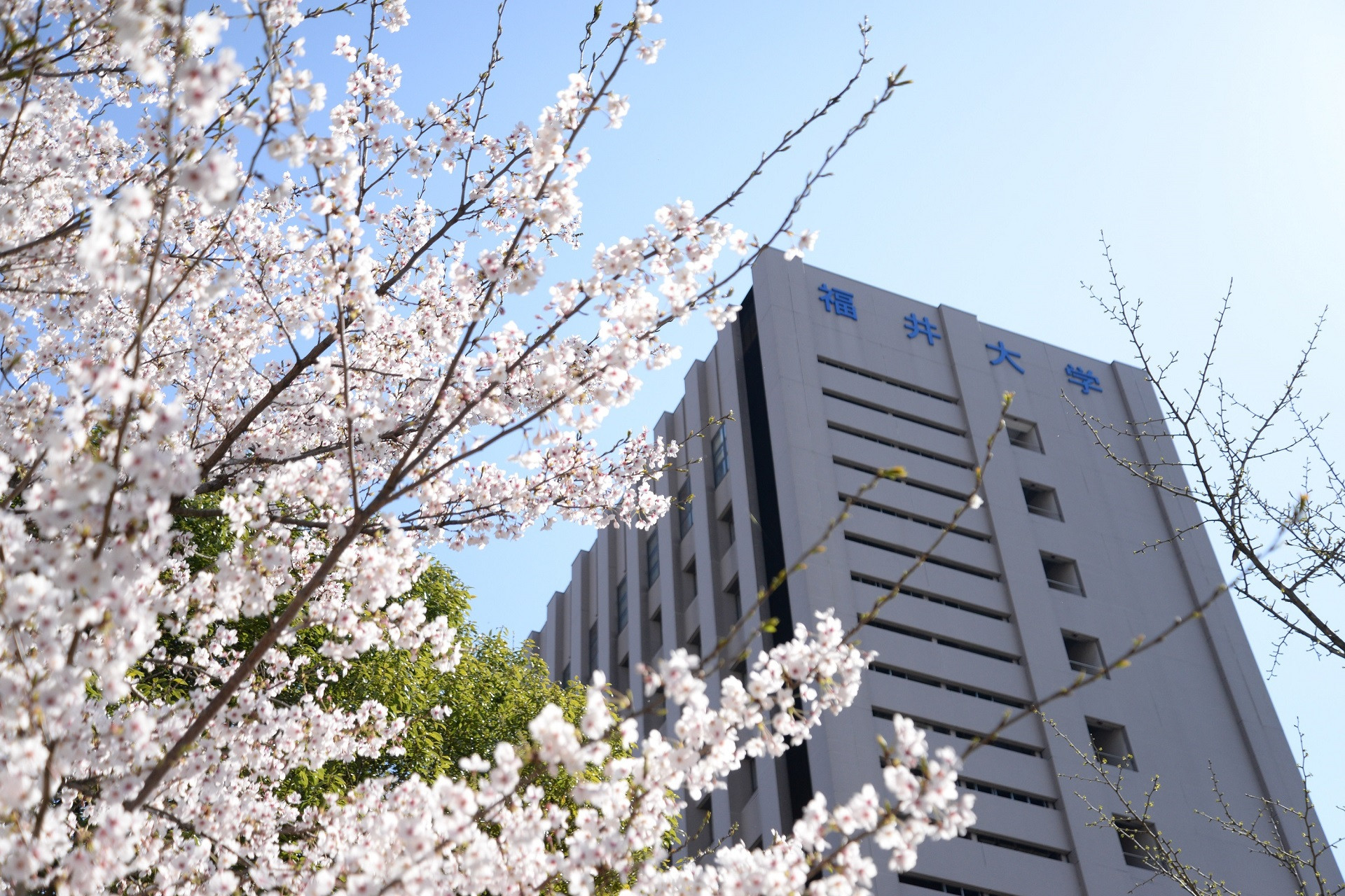 University
